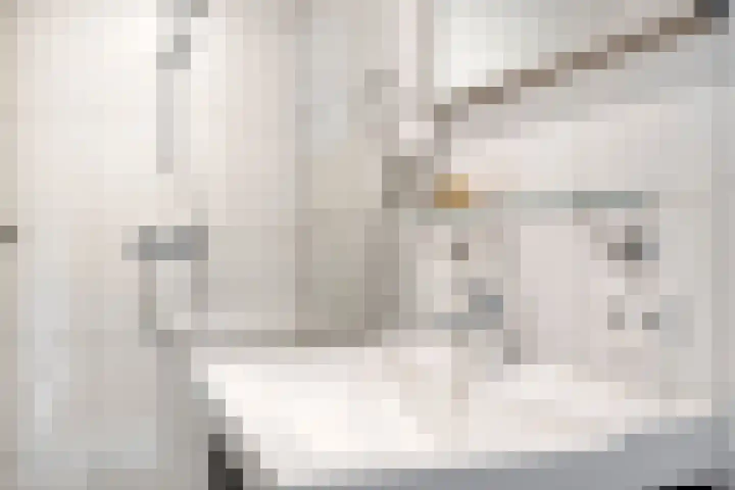 Braamkamp 326 Zutphen thumbnail 22