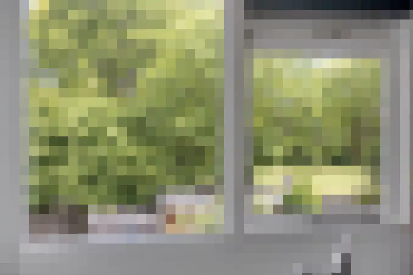 Braamkamp 326 Zutphen thumbnail 28