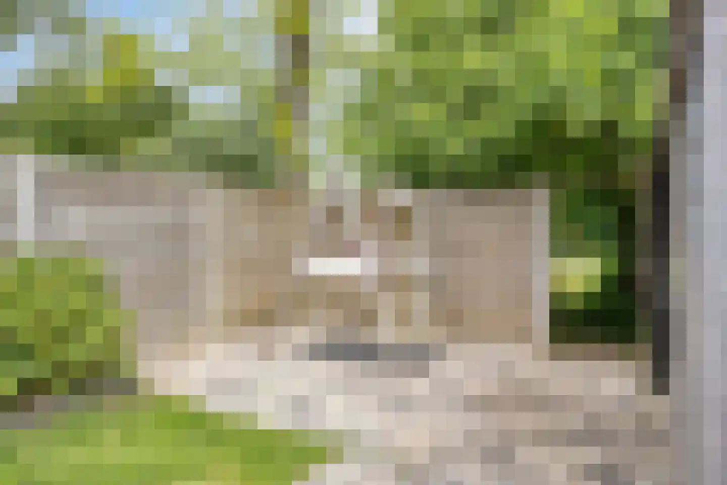 Braamkamp 326 Zutphen thumbnail 39