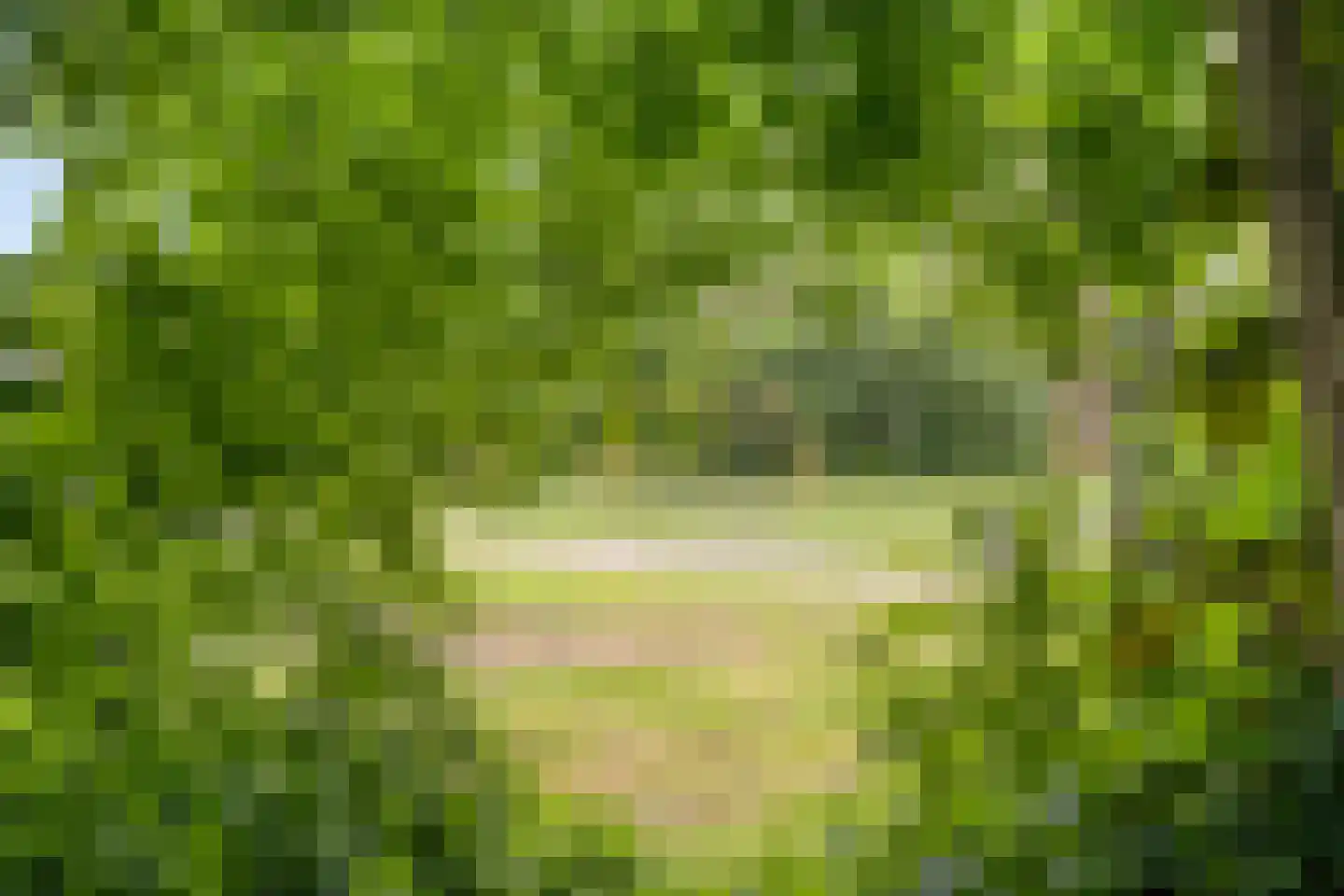 Braamkamp 326 Zutphen thumbnail 40