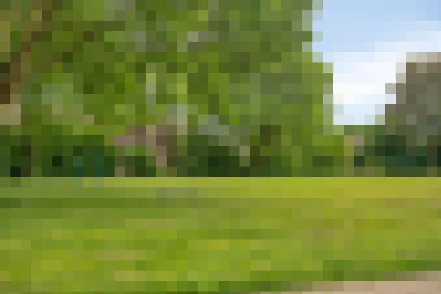 Braamkamp 326 Zutphen thumbnail 42