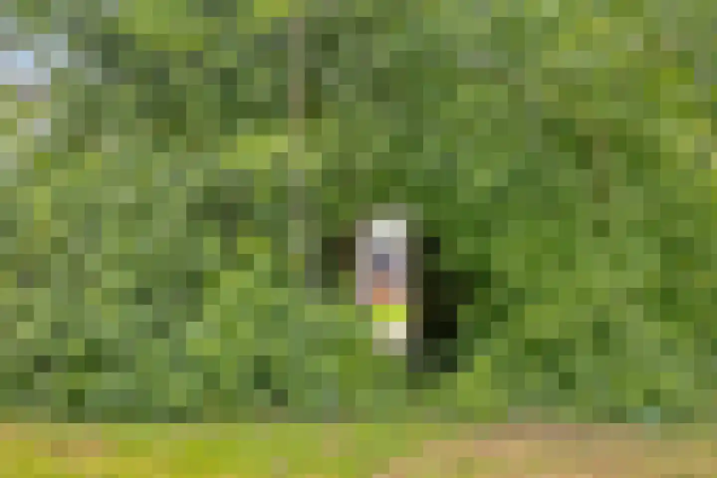 Braamkamp 326 Zutphen thumbnail 43