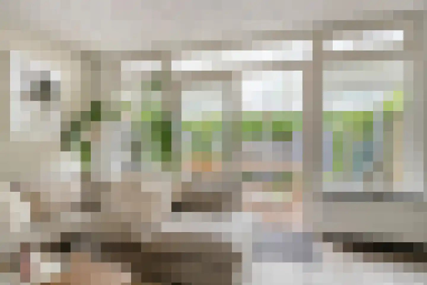 Braamkamp 326 Zutphen thumbnail 5