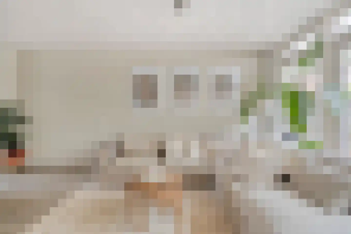 Braamkamp 326 Zutphen thumbnail 6