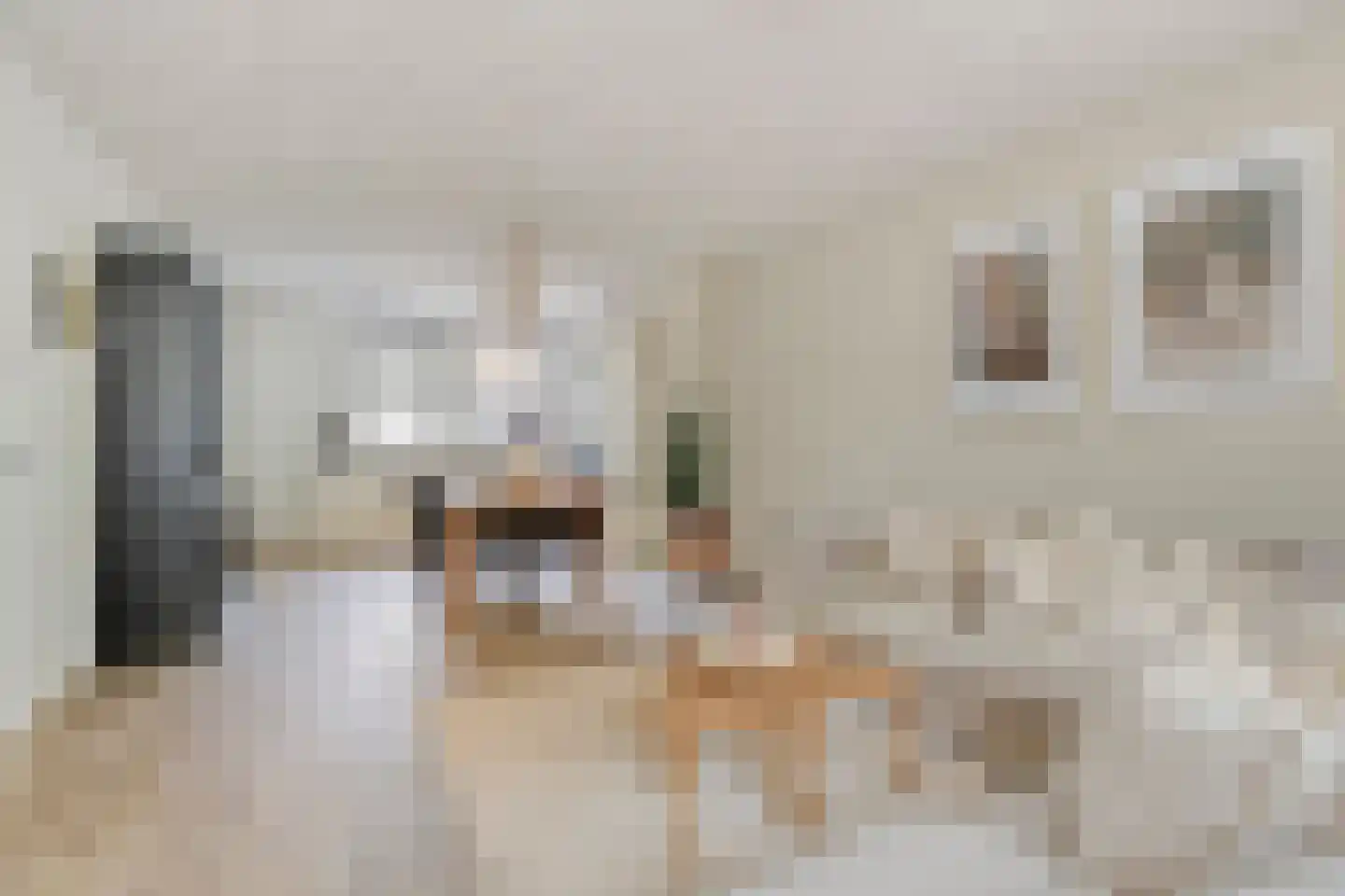 Braamkamp 326 Zutphen thumbnail 7