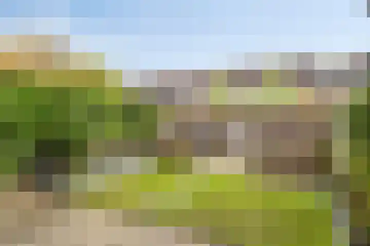 Braamkamp 344 Zutphen thumbnail 23