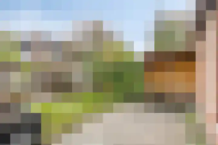Braamkamp 344 Zutphen thumbnail 24