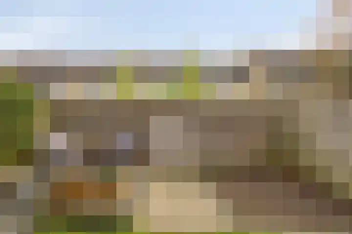 Braamkamp 344 Zutphen thumbnail 25
