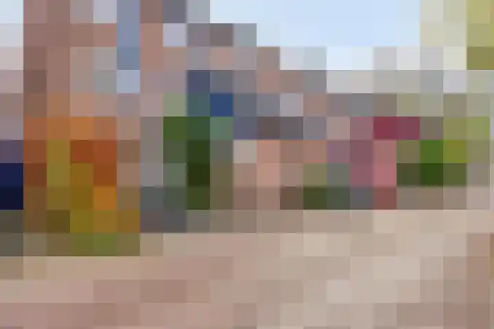 Braamkamp 344 Zutphen thumbnail 26
