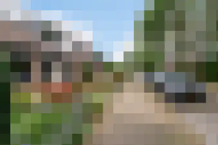 Braamkamp 399 Zutphen thumbnail 26
