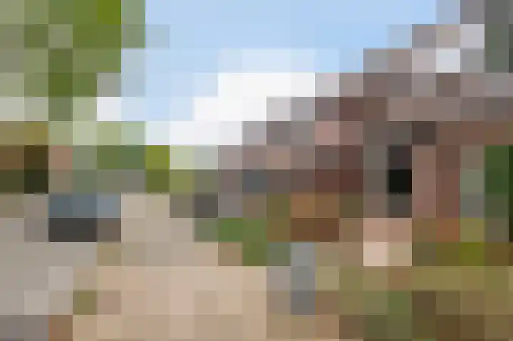 Braamkamp 399 Zutphen thumbnail 29