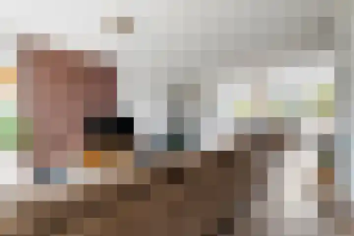 Braamkamp 399 Zutphen thumbnail 6