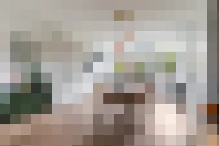 Braamkamp 399 Zutphen thumbnail 7