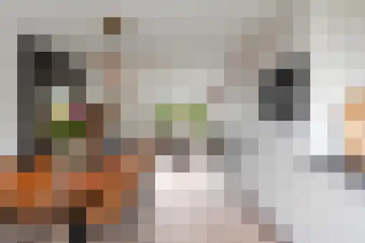 Braamkamp 399 Zutphen thumbnail 9