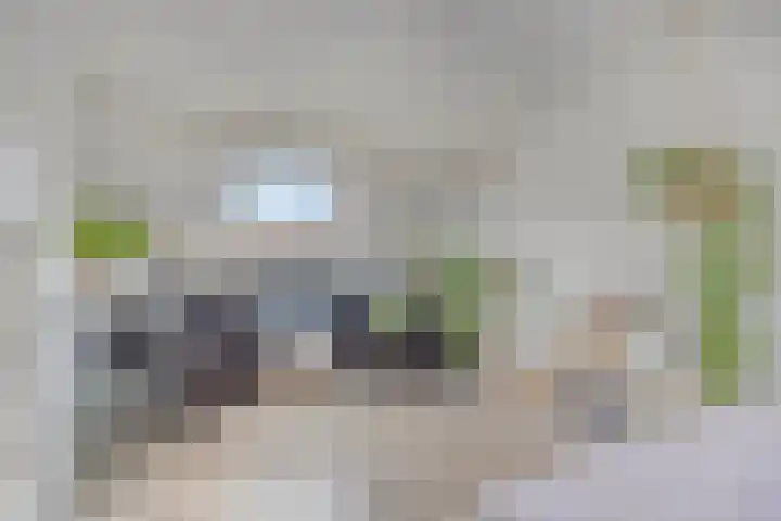 Braamkamp 411 Zutphen thumbnail 31