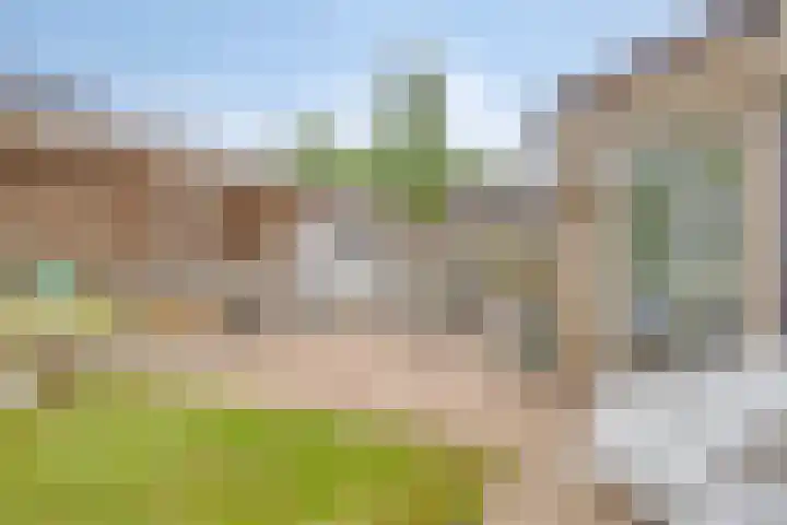 Braamkamp 411 Zutphen thumbnail 33