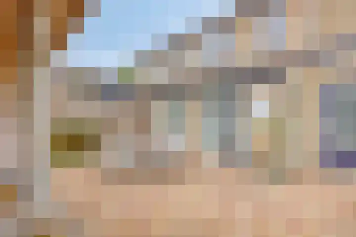 Braamkamp 411 Zutphen thumbnail 38