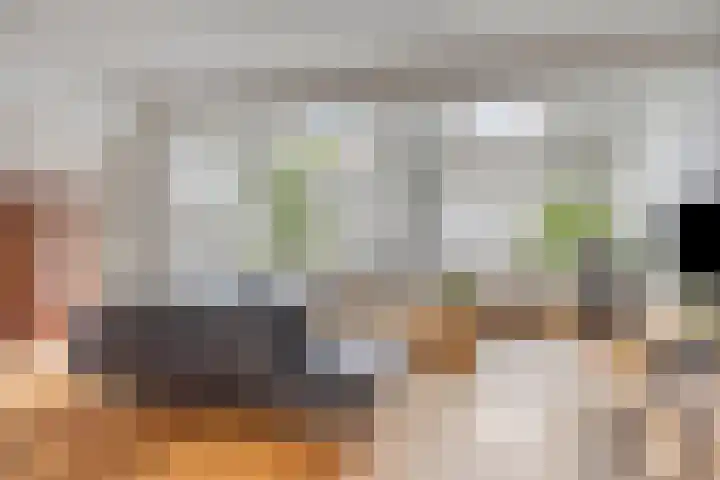 Braamkamp 411 Zutphen thumbnail 4