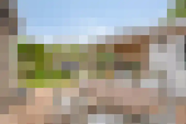 Braamkamp 411 Zutphen thumbnail 41