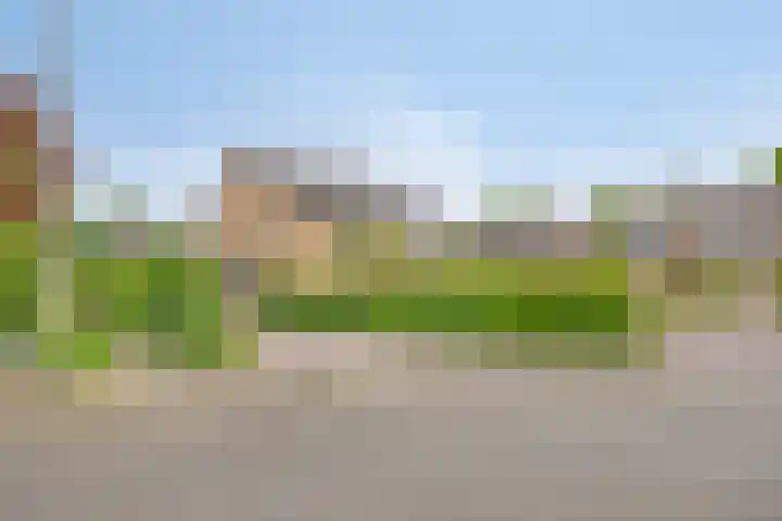 Braamkamp 411 Zutphen thumbnail 42