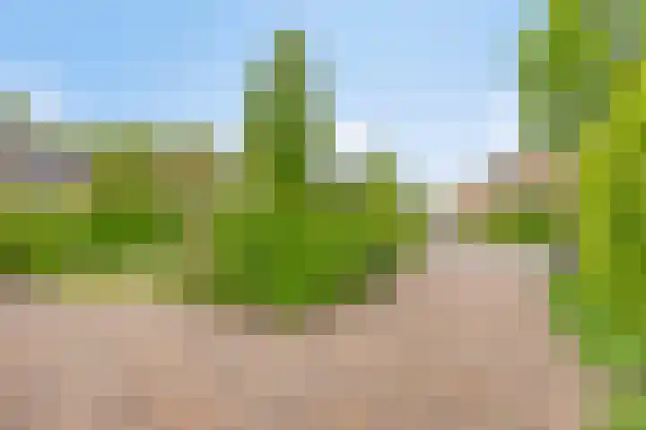 Braamkamp 411 Zutphen thumbnail 43