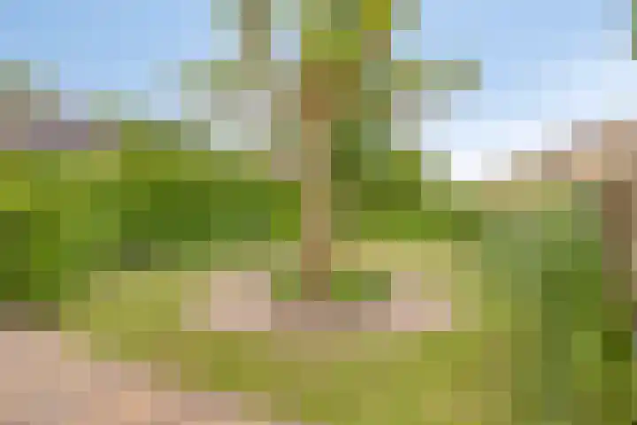 Braamkamp 411 Zutphen thumbnail 44