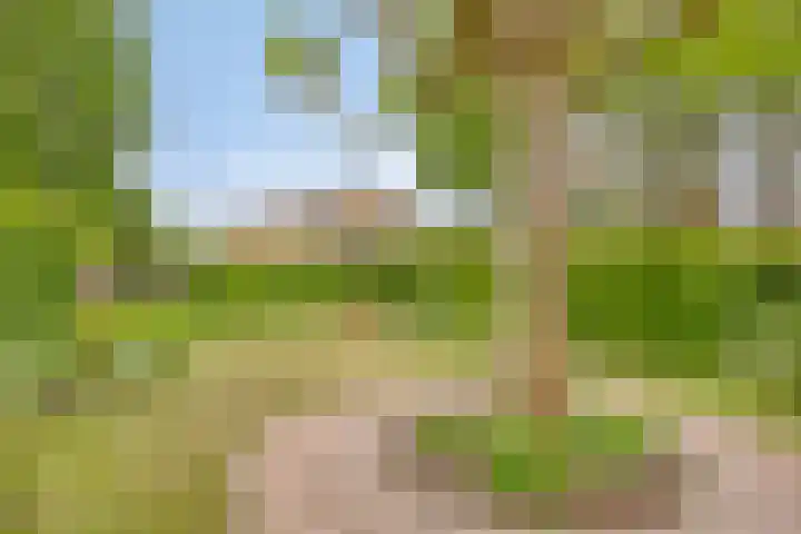 Braamkamp 411 Zutphen thumbnail 45