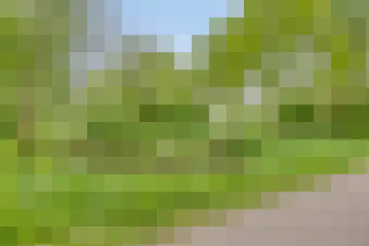 Braamkamp 411 Zutphen thumbnail 46
