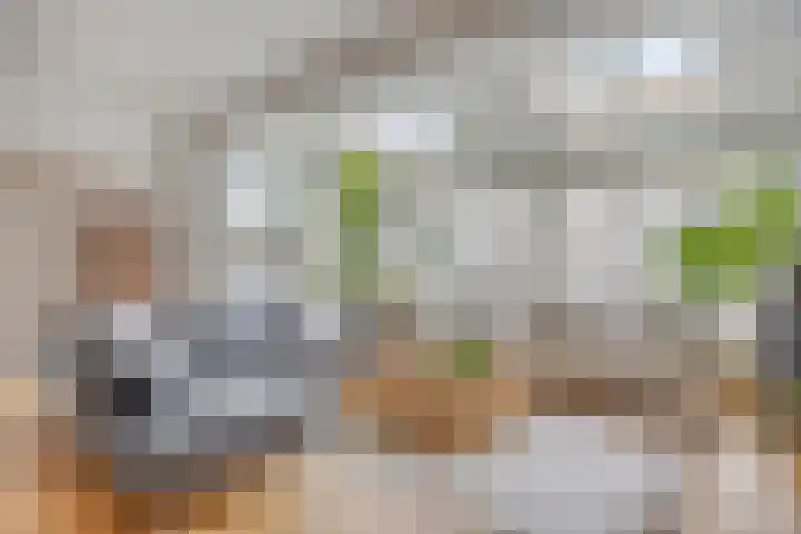 Braamkamp 411 Zutphen thumbnail 5