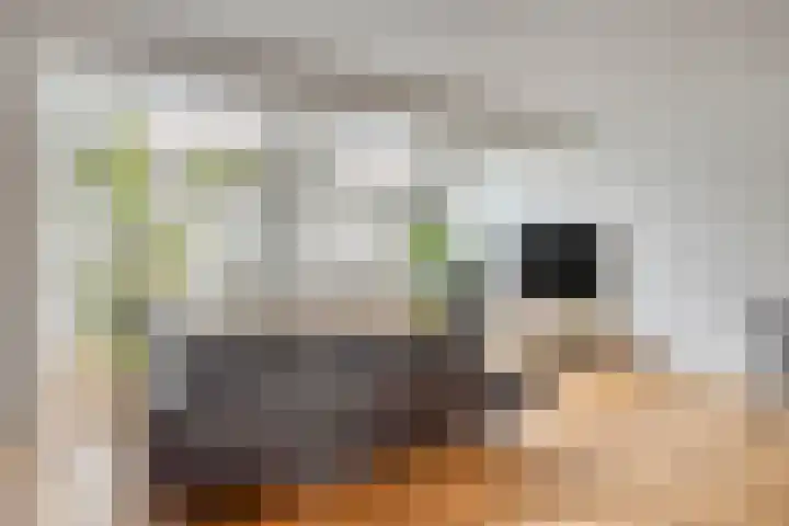 Braamkamp 411 Zutphen thumbnail 6