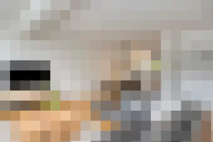 Braamkamp 411 Zutphen thumbnail 7