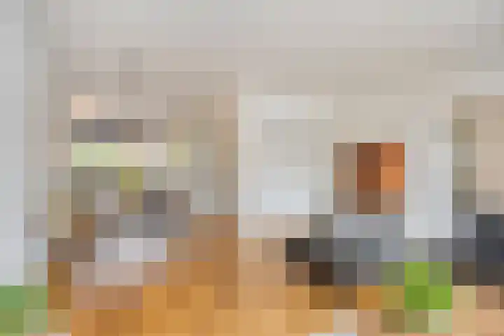 Braamkamp 411 Zutphen thumbnail 9