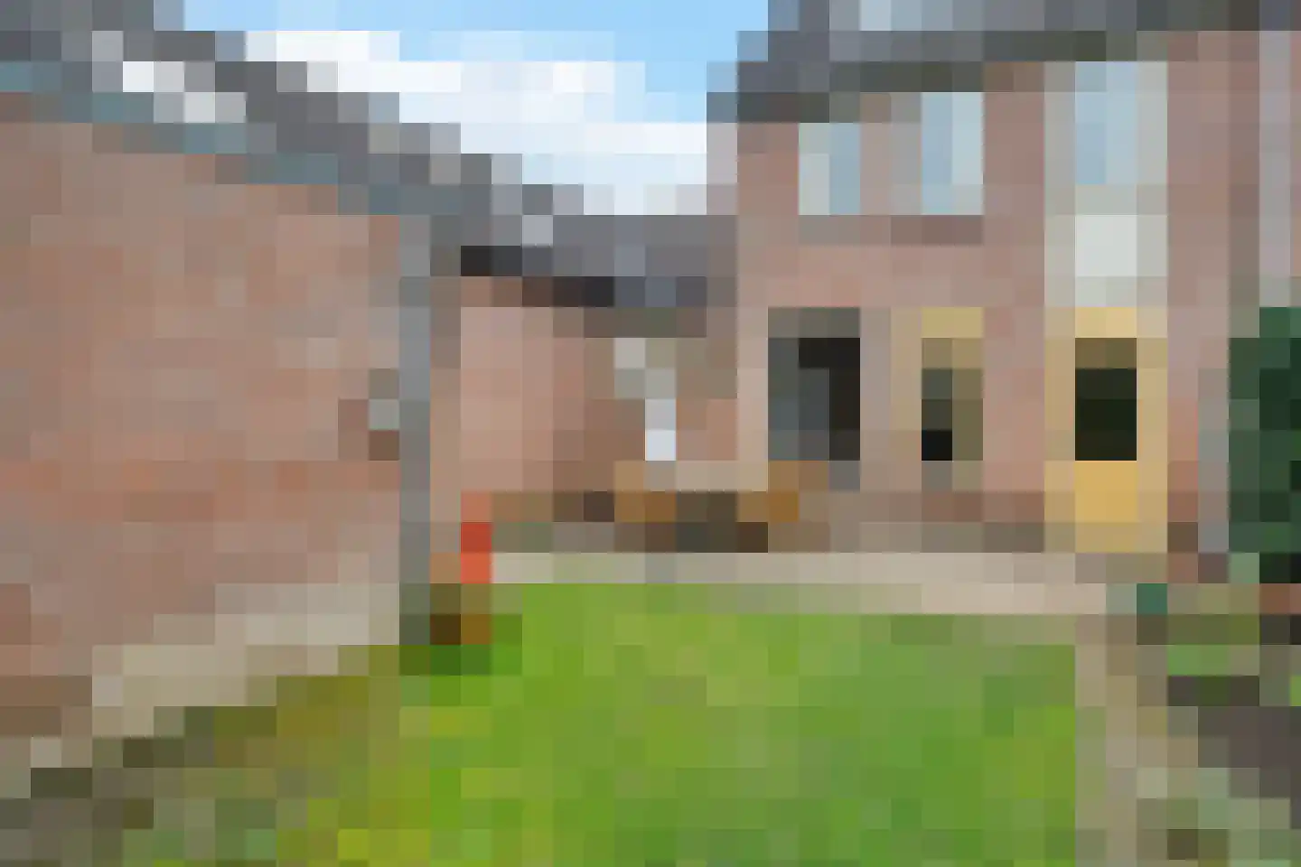 Braamkamp 432 Zutphen thumbnail 35