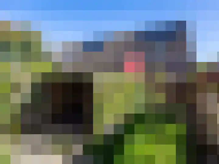Braamkamp 451 Zutphen thumbnail 22
