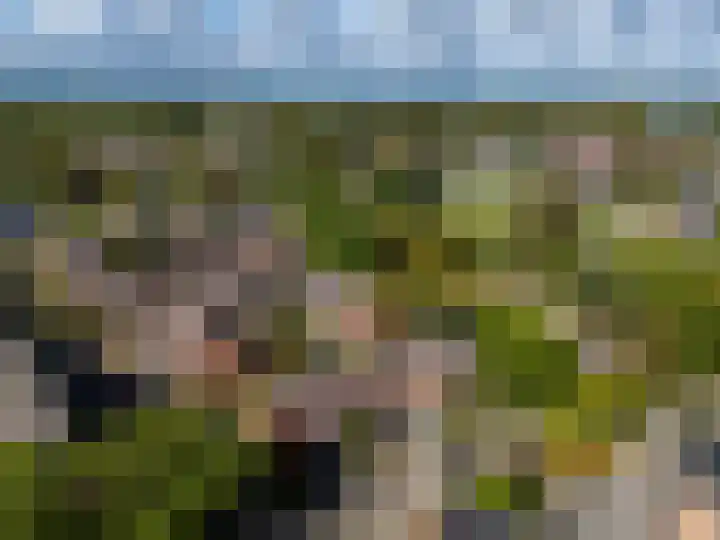 Braamkamp 451 Zutphen thumbnail 25