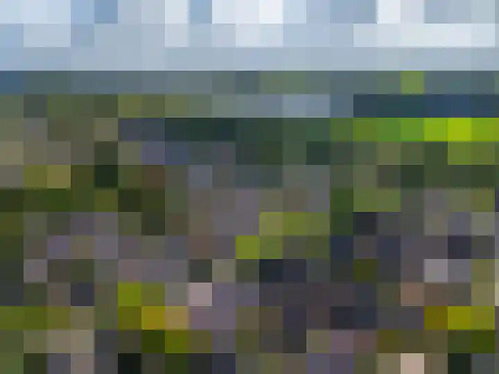 Braamkamp 451 Zutphen thumbnail 26