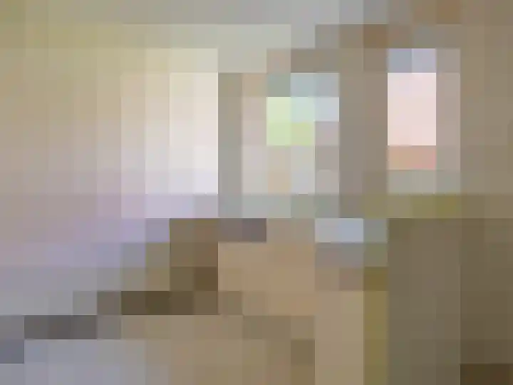 Braamkamp 451 Zutphen thumbnail 6