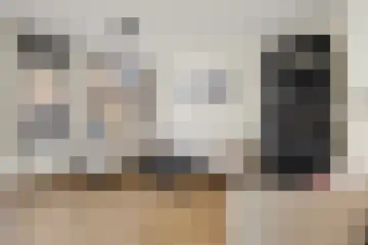 Braamkamp 477 Zutphen thumbnail 10