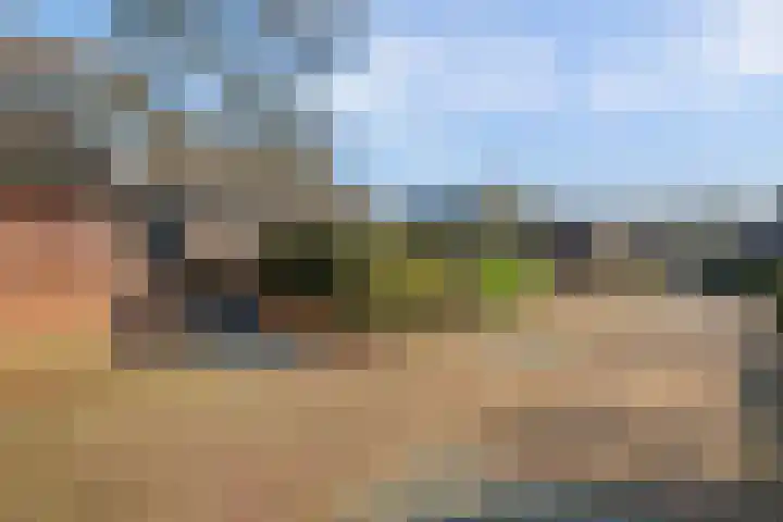 Braamkamp 477 Zutphen thumbnail 28