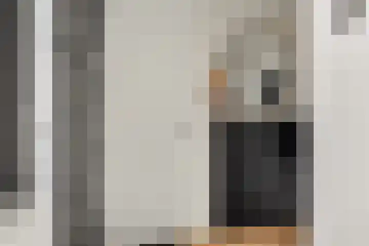 Braamkamp 477 Zutphen thumbnail 5