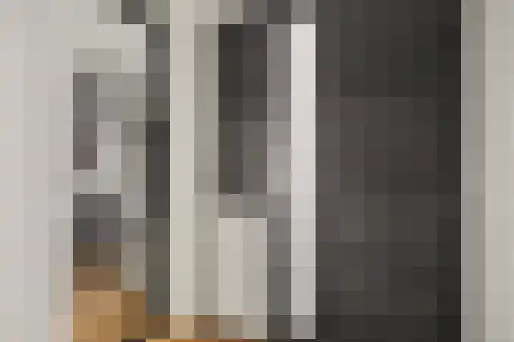 Braamkamp 477 Zutphen thumbnail 6