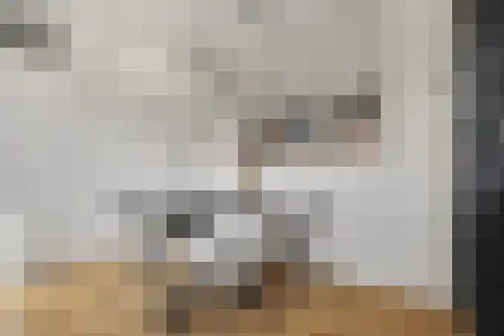 Braamkamp 477 Zutphen thumbnail 8