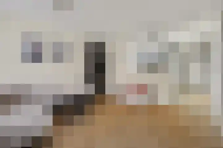 Braamkamp 477 Zutphen thumbnail 9