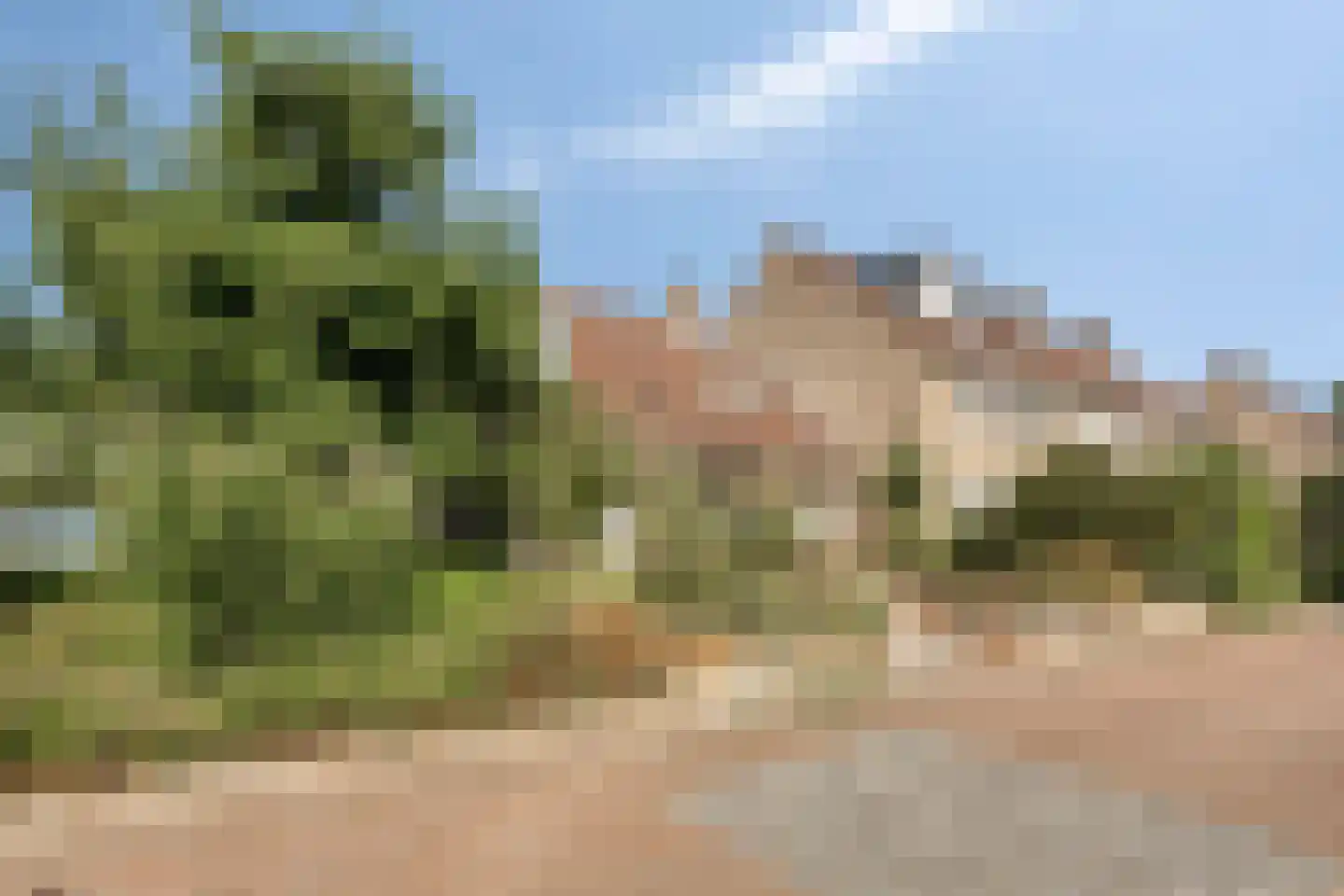 Braamkamp 494 Zutphen thumbnail 33