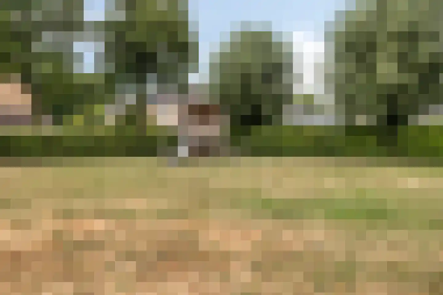 Braamkamp 494 Zutphen thumbnail 38