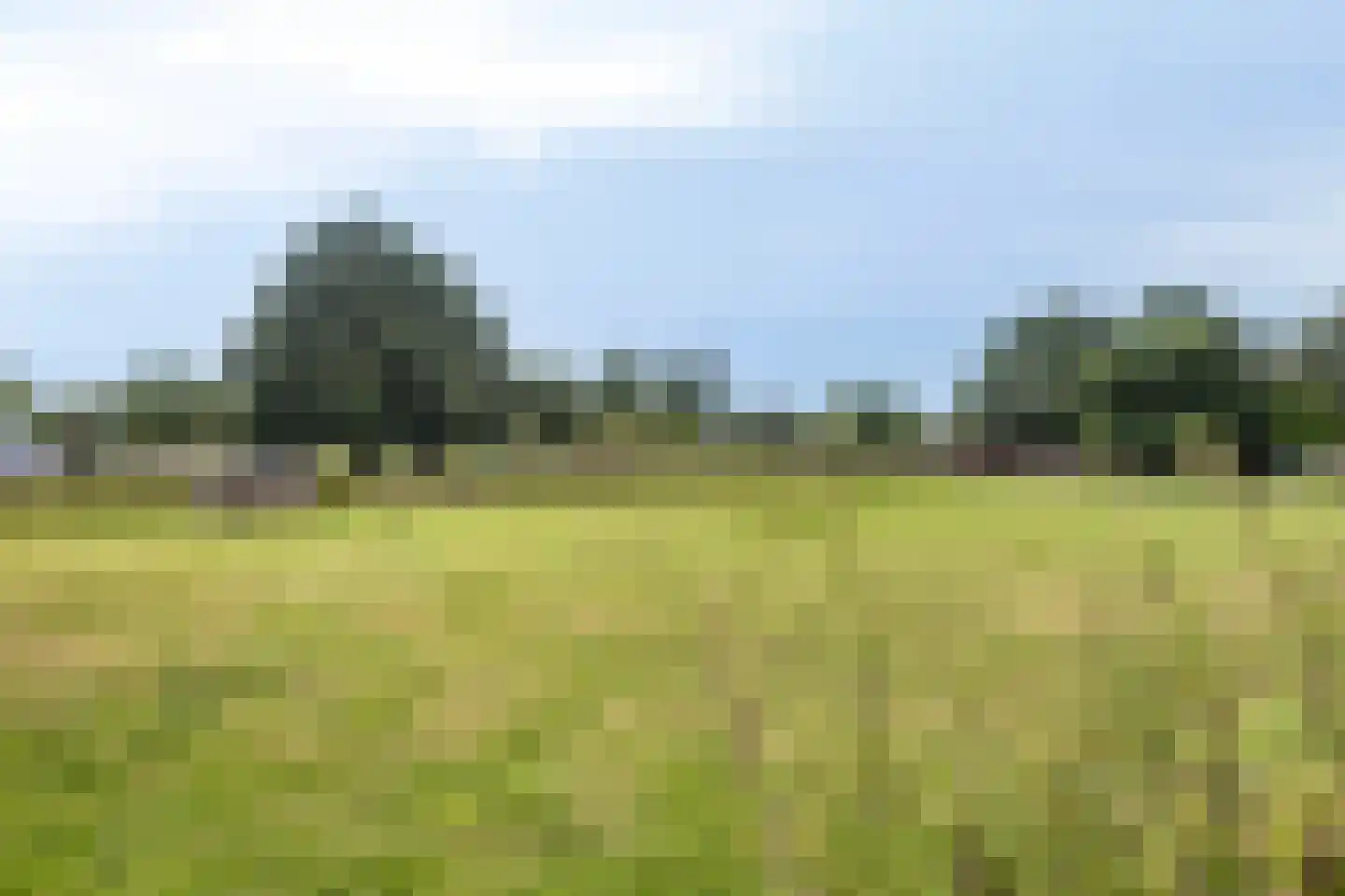 Braamkamp 494 Zutphen thumbnail 39