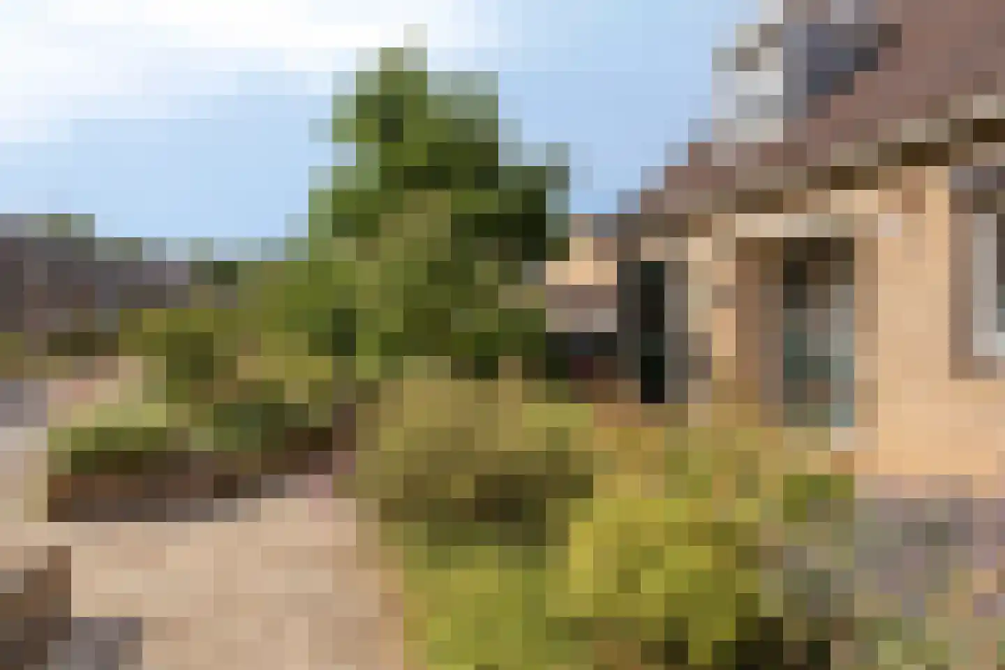 Braamkamp 494 Zutphen thumbnail 5