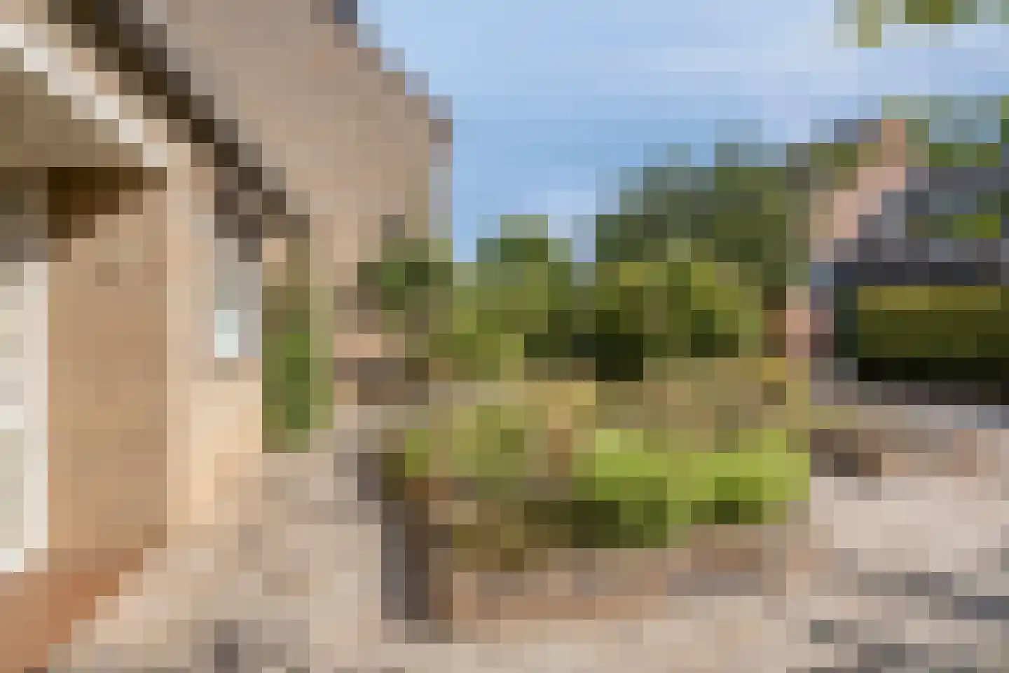 Braamkamp 494 Zutphen thumbnail 6