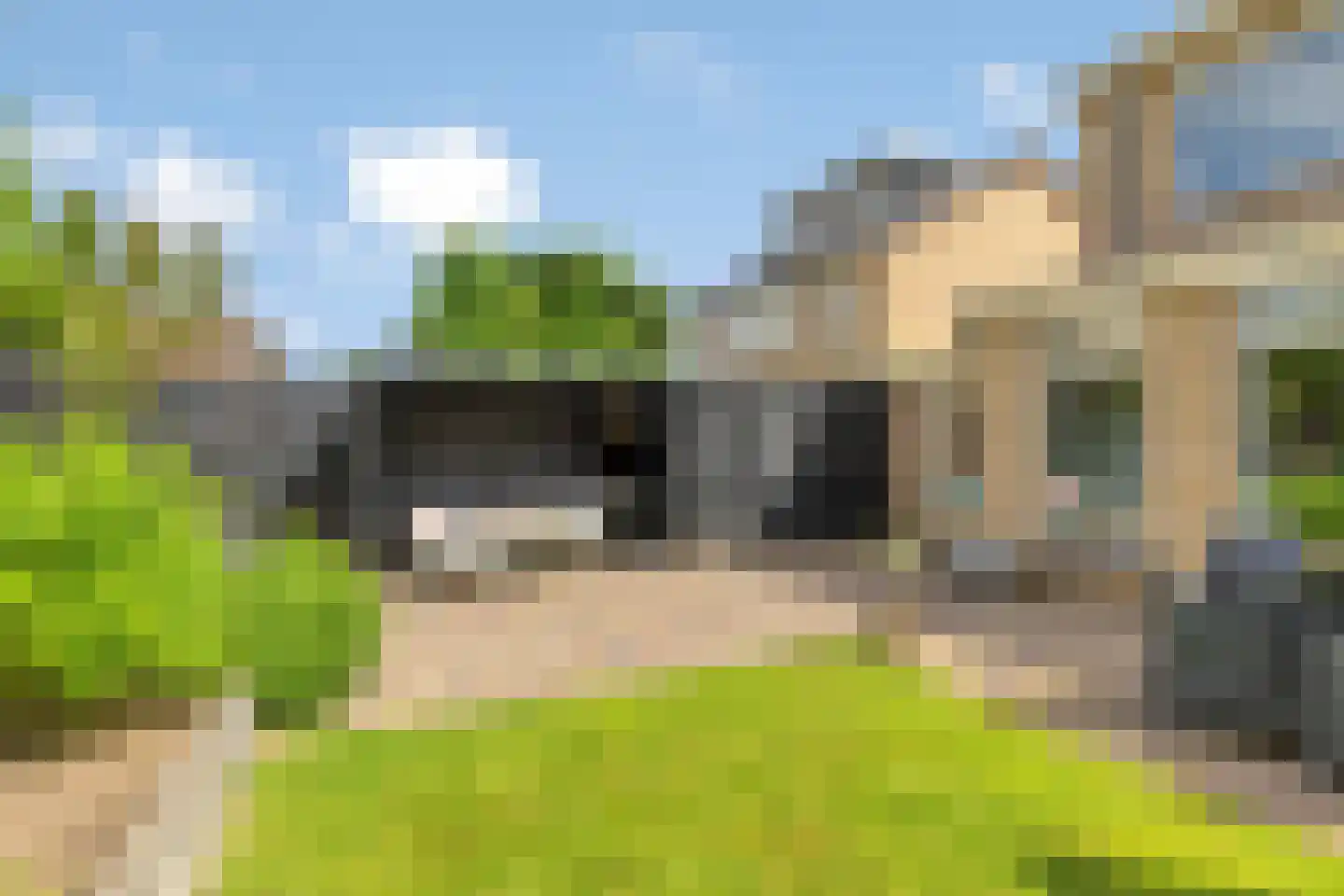Braamkamp 542 Zutphen thumbnail 12