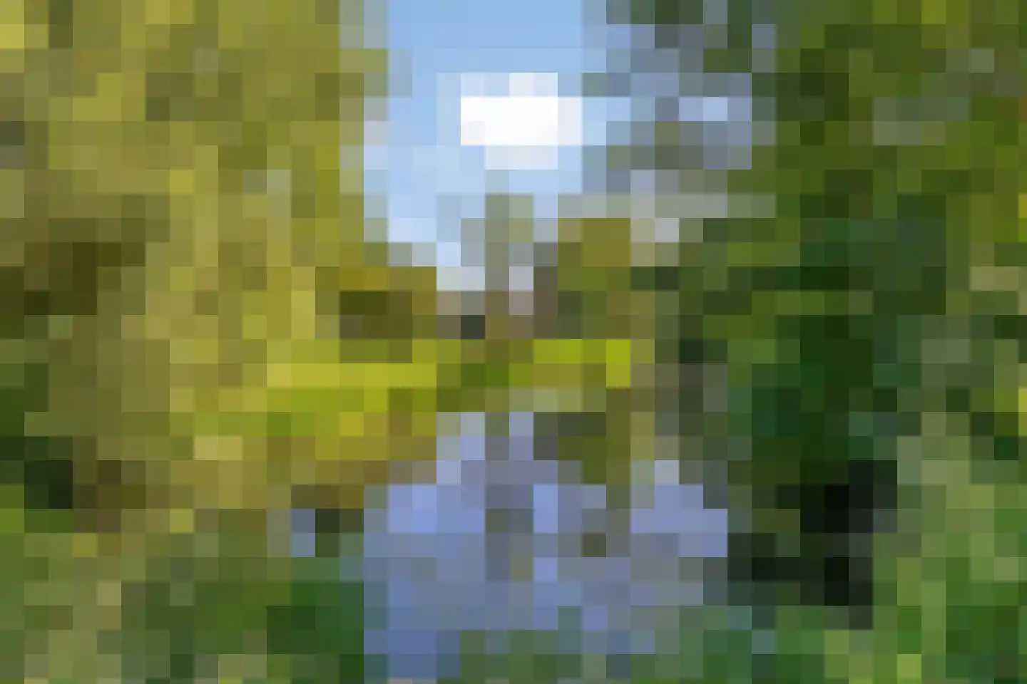 Braamkamp 542 Zutphen thumbnail 42